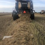 Thumbnail of http://drop%20pan%20in%20use